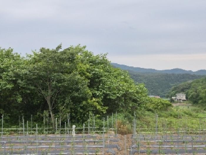 전남 장성군 삼계면 전 경매 물건 사진 2 · 2025타경32819