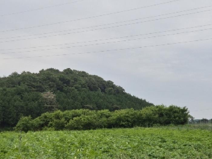 전남 장성군 삼계면 전 경매 물건 사진 3 · 2025타경32819