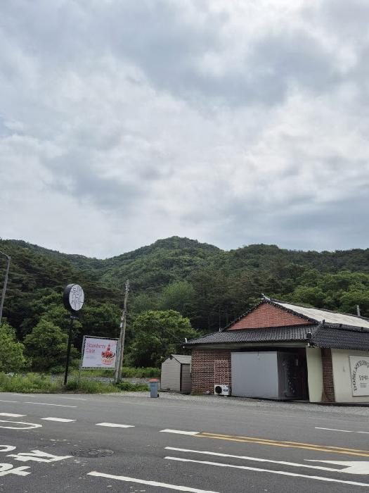 전남 화순군 도곡면 임야 경매 물건 사진