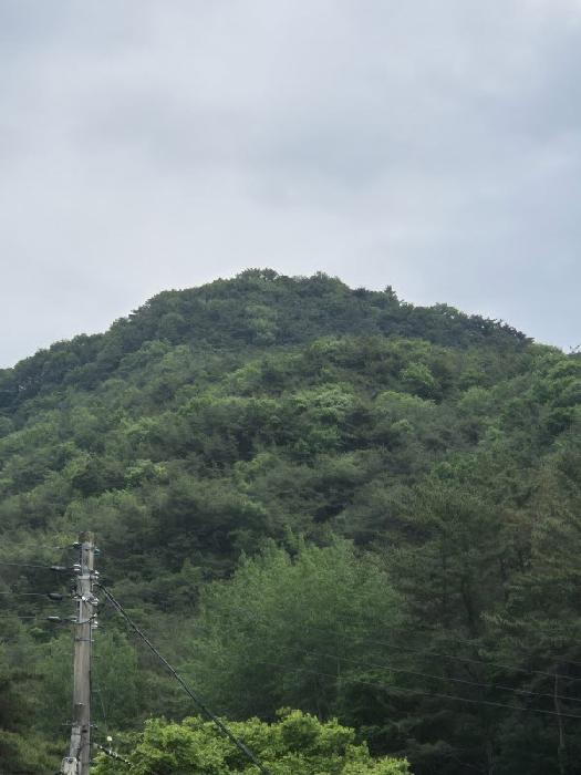전남 화순군 도곡면 임야 경매 물건 사진 2 · 2025타경32837