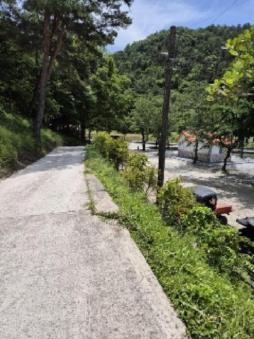 전남 담양군 담양읍 도로 경매 물건 사진 2 · 2025타경32867