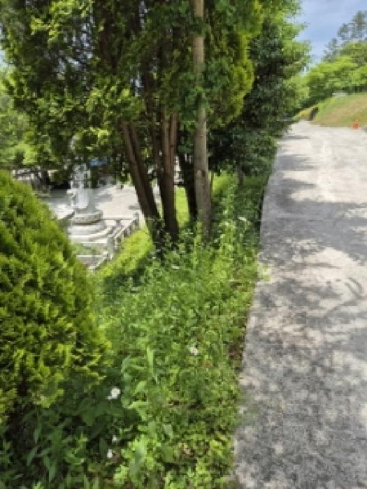 전남 담양군 담양읍 도로 경매 물건 사진 4 · 2025타경32867