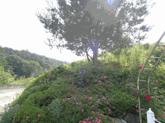 전남 화순군 동면 전 경매 물건 사진 6 · 2025타경32892