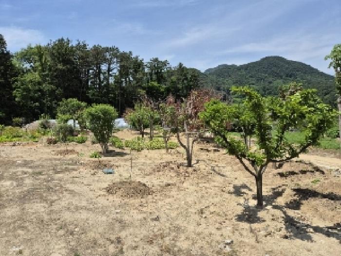 전남 담양군 무정면 답 경매 물건 사진 3 · 2025타경32911