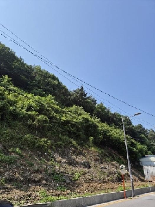 광주 동구 소태동 임야 경매 물건 사진 3 · 2025타경32913