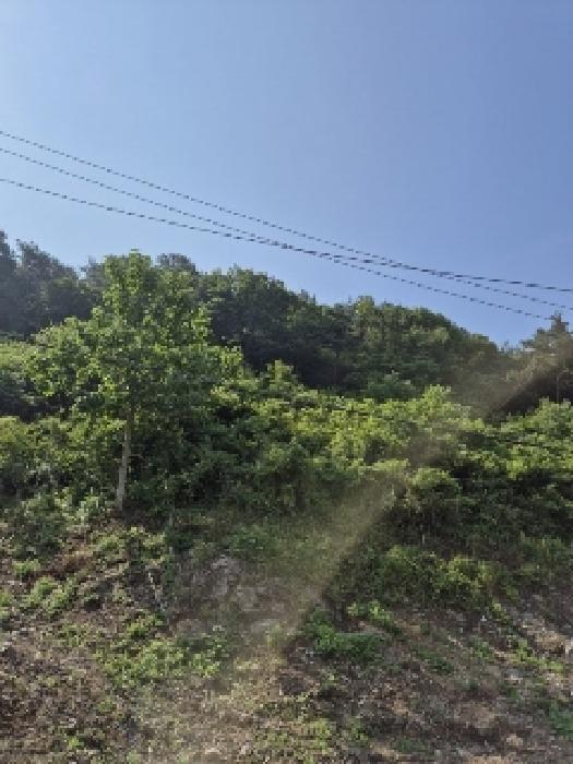 광주 동구 소태동 임야 경매 물건 사진 2 · 2025타경32913