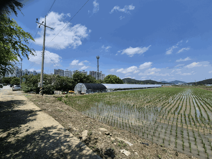 광주 남구 지석동 답 경매 물건 사진 4 · 2025타경32983