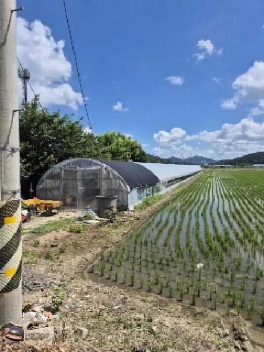 광주 남구 지석동 답 경매 물건 사진