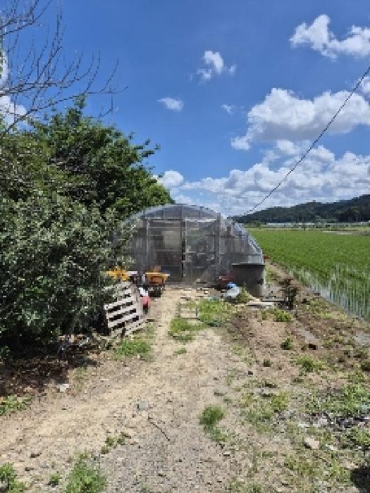 광주 남구 지석동 답 경매 물건 사진 3 · 2025타경32983