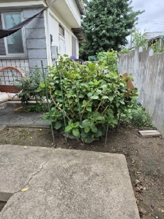 북구 일곡동 연립주택,다세대,빌라 경매 물건 사진