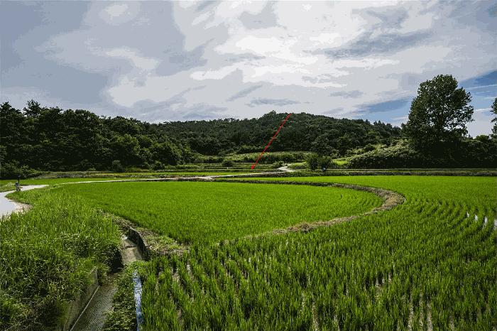 광주 북구 운정동 답 경매 물건 사진