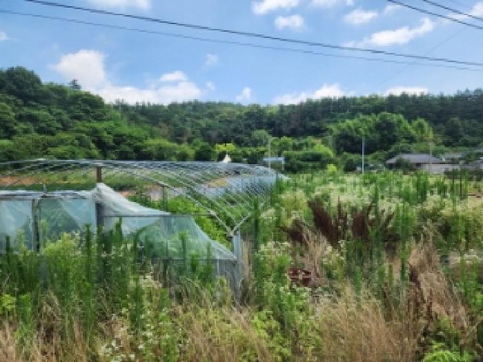 전남 나주시 동강면 전 경매 물건 사진