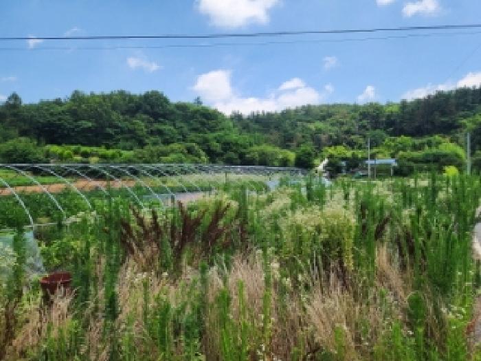 전남 나주시 동강면 전 경매 물건 사진 3 · 2025타경33090