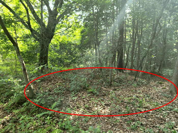 전남 화순군 도암면 임야 경매 물건 사진 6 · 2025타경33099
