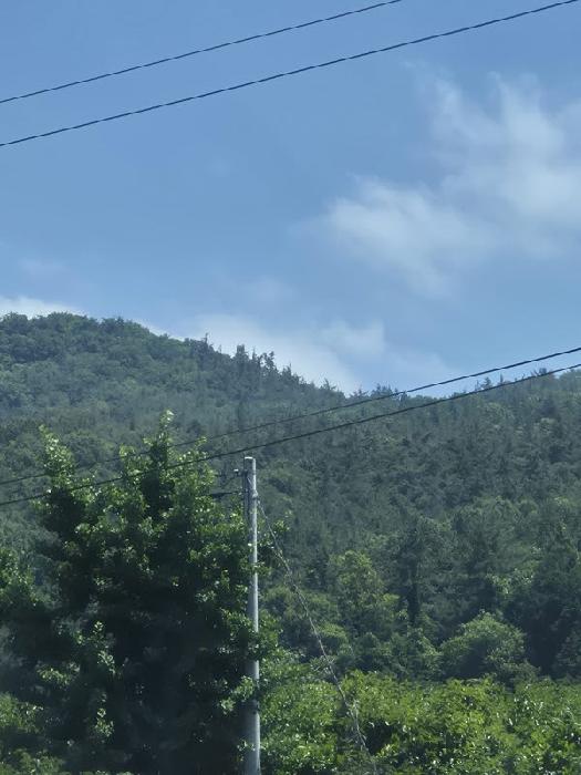 전남 화순군 도암면 임야 경매 물건 사진 2 · 2025타경33099