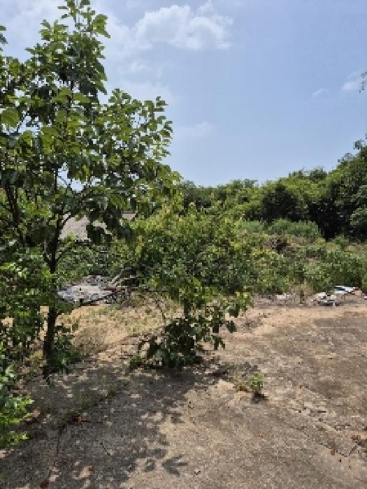 영광군 염산면 대지 경매 물건 사진 3 · 2025타경33104