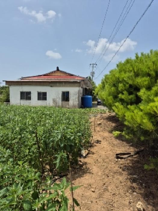 영광군 염산면 대지 경매 물건 사진 5 · 2025타경33104