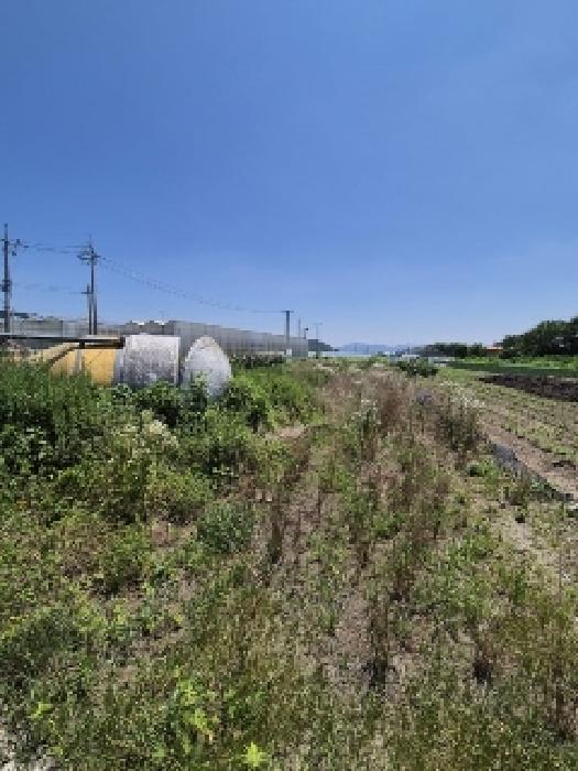 전남 화순군 도곡면 동물및식물관련시설 경매 물건 사진