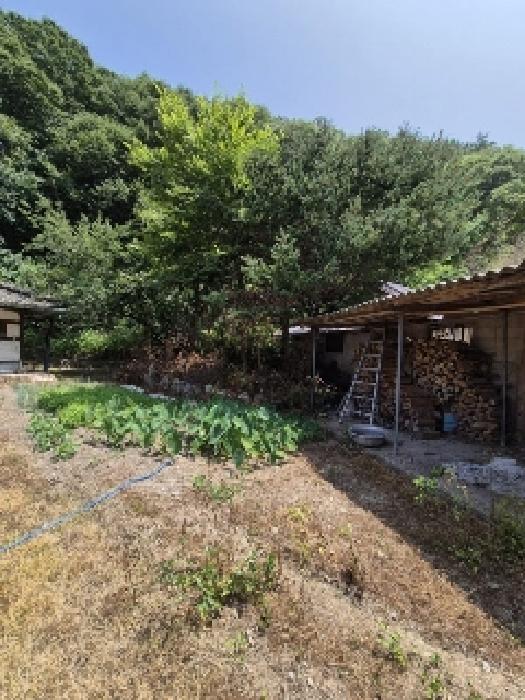 전남 담양군 용면 대지 경매 물건 사진 4 · 2025타경33163