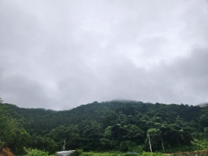 광주 남구 덕남동 임야 경매 물건 사진