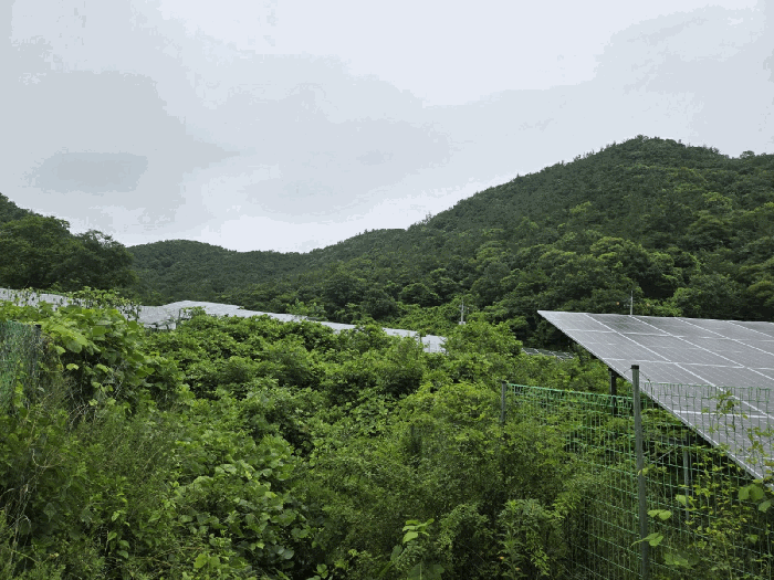 전라남도 화순군 동면 국동리 385 대지 경매 물건 사진