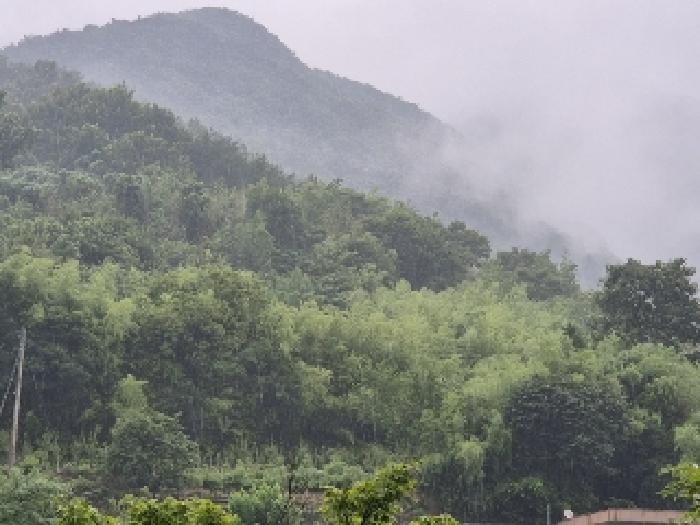 전남 화순군 동면 대지 경매 물건 사진