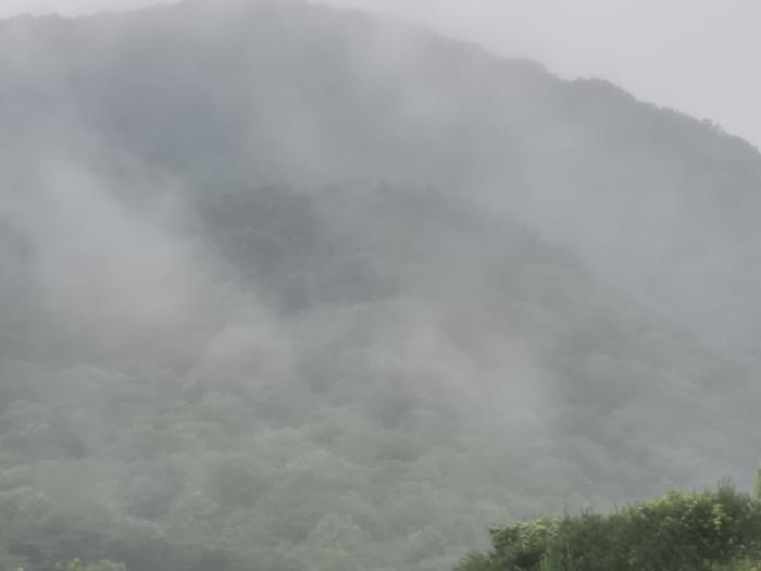 전남 화순군 동면 대지 경매 물건 사진 3 · 2025타경33189