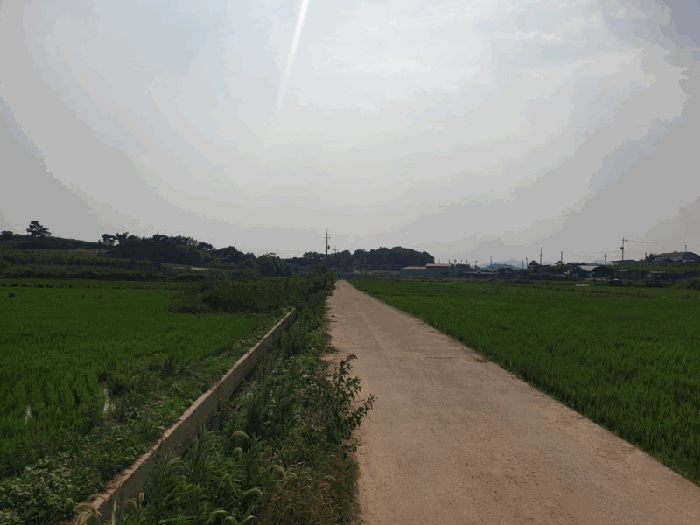 전남 나주시 봉황면 답 경매 물건 사진 3 · 2025타경33243