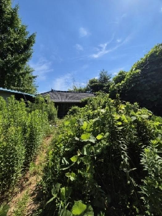 광주 광산구 산정동 답 경매 물건 사진 3 · 2025타경33312