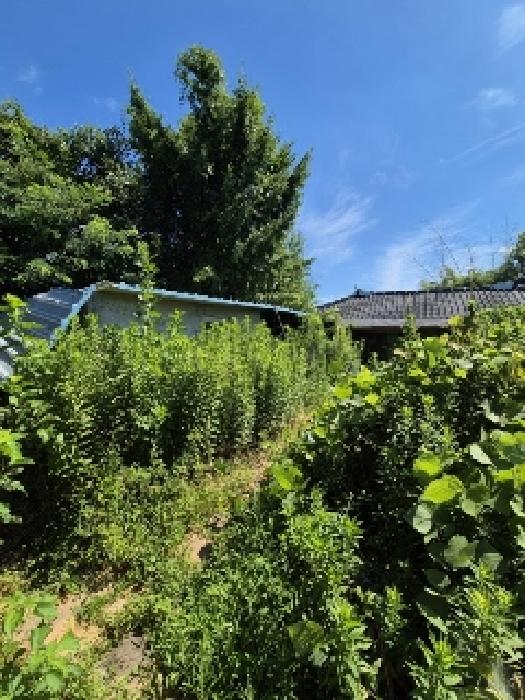 광주 광산구 산정동 답 경매 물건 사진 5 · 2025타경33312