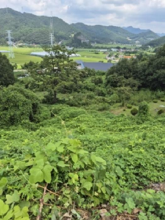 전남 화순군 한천면 도로 경매 물건 사진 6 · 2025타경33332