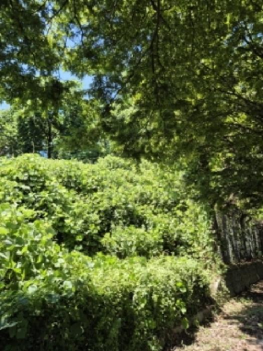 광주 광산구 소촌동 임야 경매 물건 사진 2 · 2025타경33388