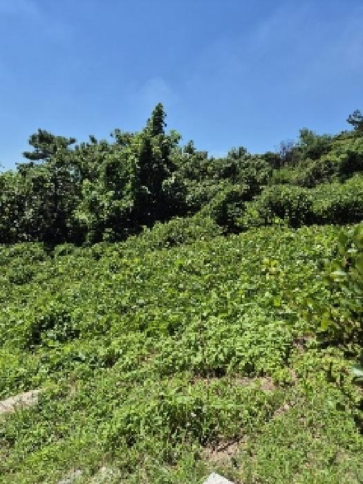 광주 광산구 소촌동 임야 경매 물건 사진 4 · 2025타경33388
