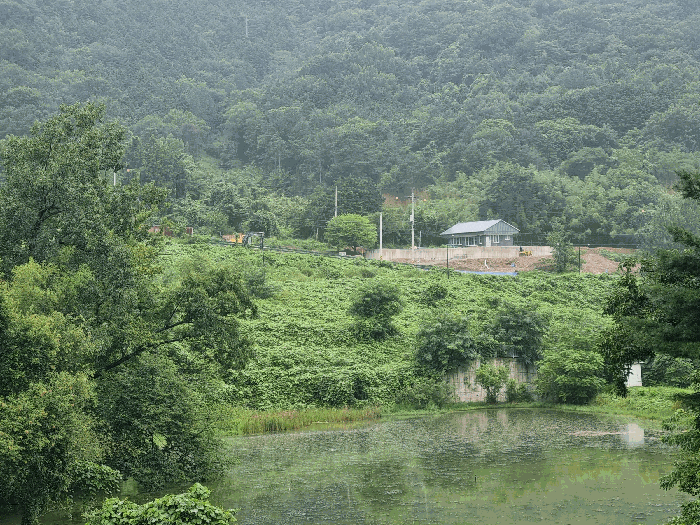 전남 담양군 담양읍 대지 경매 물건 사진 6 · 2025타경33467