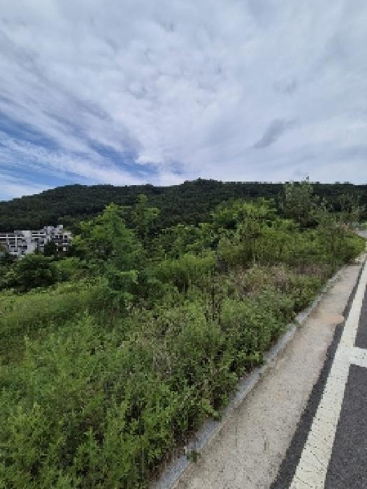전남 담양군 담양읍 대지 경매 물건 사진 2 · 2025타경33467