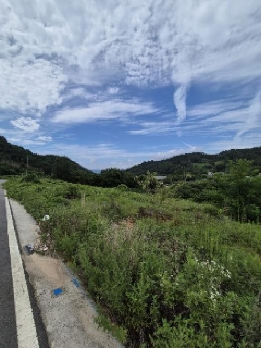 전남 담양군 담양읍 대지 경매 물건 사진