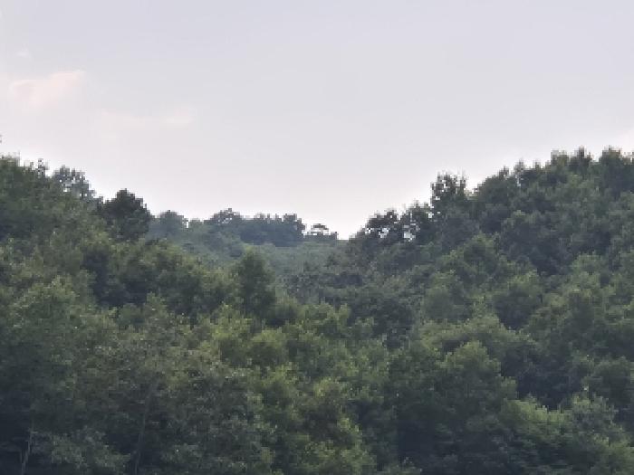 전남 화순군 동복면 전 경매 물건 사진 3 · 2025타경33468