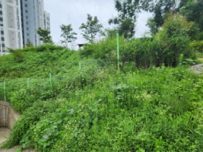 광주 남구 백운동 전 경매 물건 사진