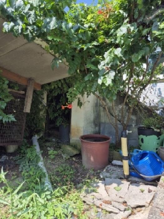전남 곡성군 곡성읍 대지 경매 물건 사진 6 · 2025타경33526