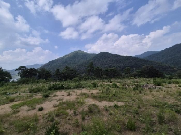 전남 곡성군 오곡면 임야 경매 물건 사진 2 · 2025타경33573