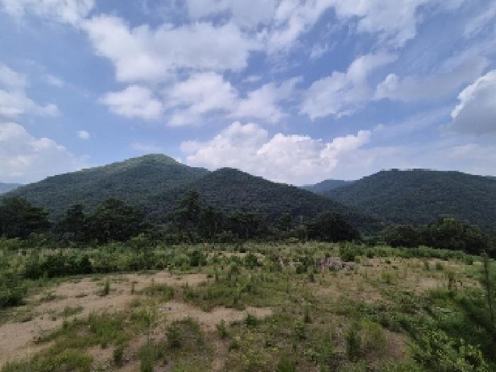 전남 곡성군 오곡면 임야 경매 물건 사진 4 · 2025타경33573