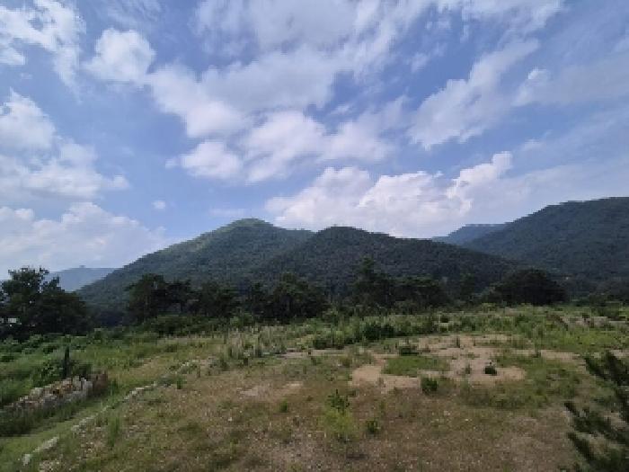전남 곡성군 오곡면 임야 경매 물건 사진 6 · 2025타경33573