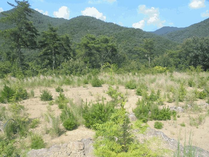 전남 곡성군 오곡면 임야 경매 물건 사진 5 · 2025타경33573