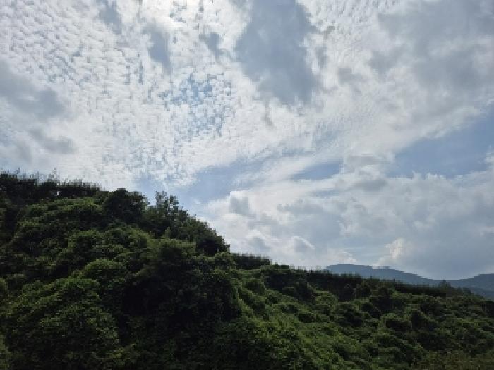 전남 곡성군 목사동면 전 경매 물건 사진 4 · 2025타경33608