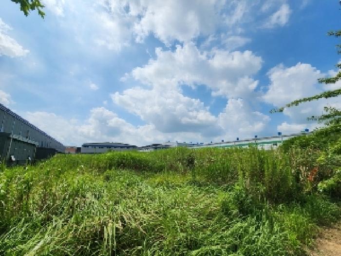 전남 나주시 왕곡면 공장용지 경매 물건 사진