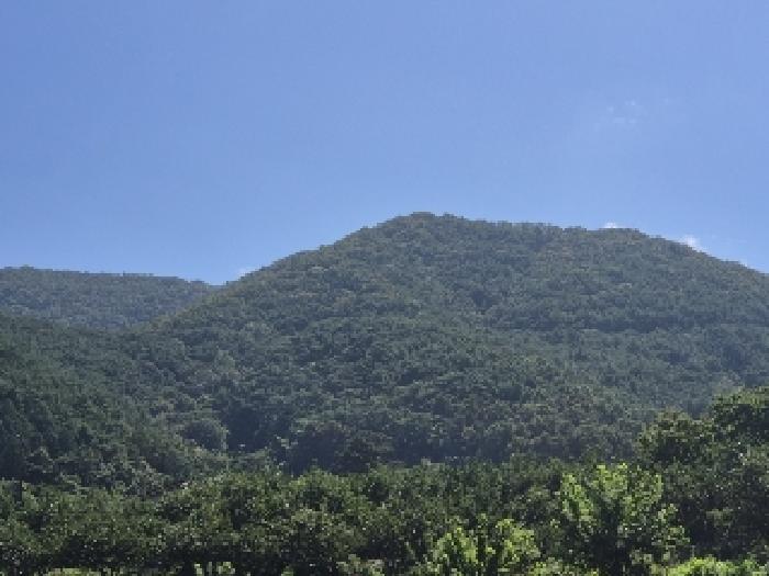 전남 화순군 동면 임야 경매 물건 사진 3 · 2025타경33731