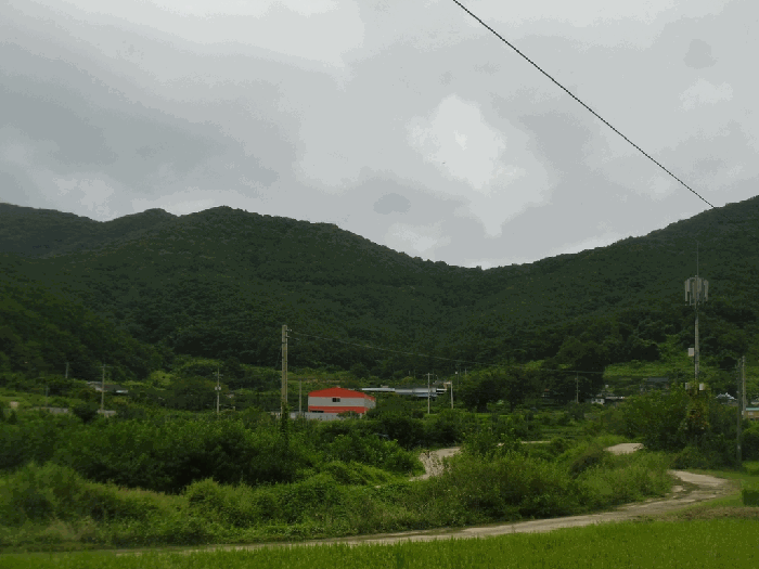 전남 화순군 동면 임야 경매 물건 사진 5 · 2025타경33731