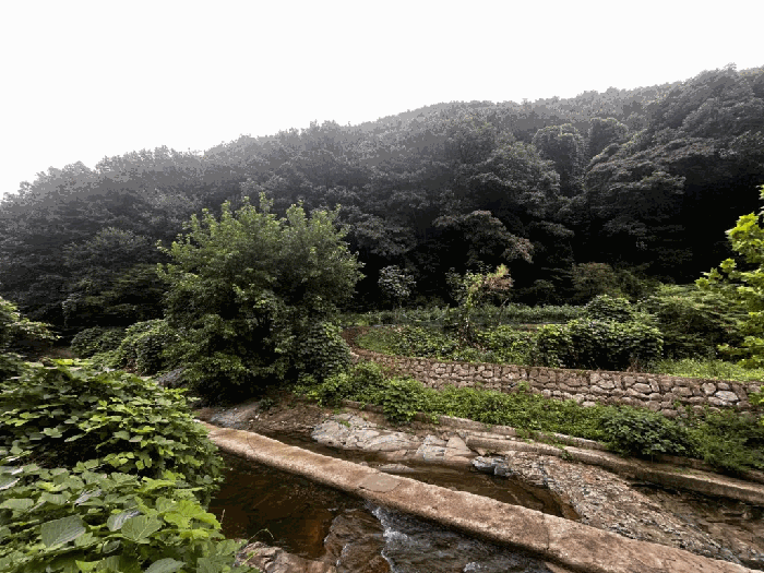광주 동구 운림동 전 경매 물건 사진 3 · 2025타경33805