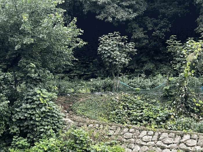 광주 동구 운림동 전 경매 물건 사진 5 · 2025타경33805