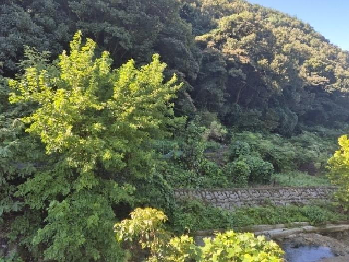광주 동구 운림동 전 경매 물건 사진